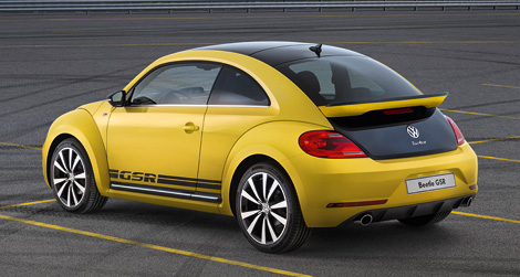 Beetle-GSR-470-6