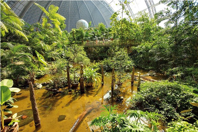 hese are the incredible images of a tropical island paradise INSIDE a building so big could easily fit eight football pitches. A sandy beach, spa, waterfall, whirlpools and water slides are just a few of the attractions inside the old airship hanger. The indoor tropical island, located in Brandenburg, Germany, boasts an air temperature of 26 degrees, with water being 28C in the Tropical Sea and 32 C in the Bali Lagoon. Inside the paradise also host to the worlds biggest indoor rainforest, which features over 50,000 plants and spans over a 10,000 metre square area