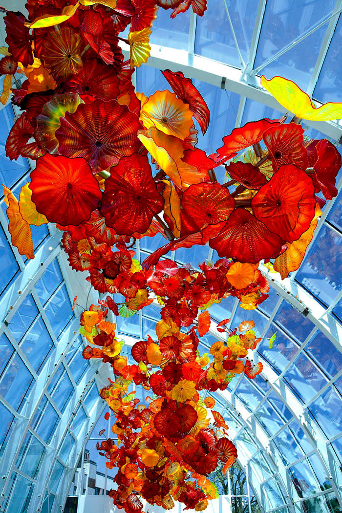 chandelier-dale-chihuly (7)