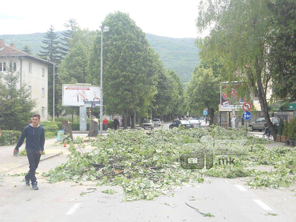 drvjaOhrid1
