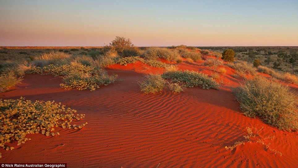 Australian Geographic  (10)