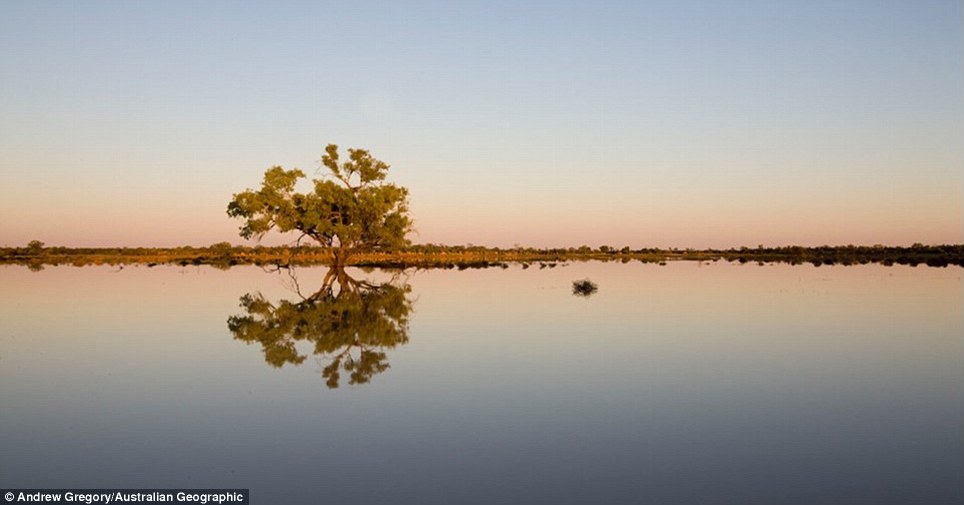 Australian Geographic  (20)