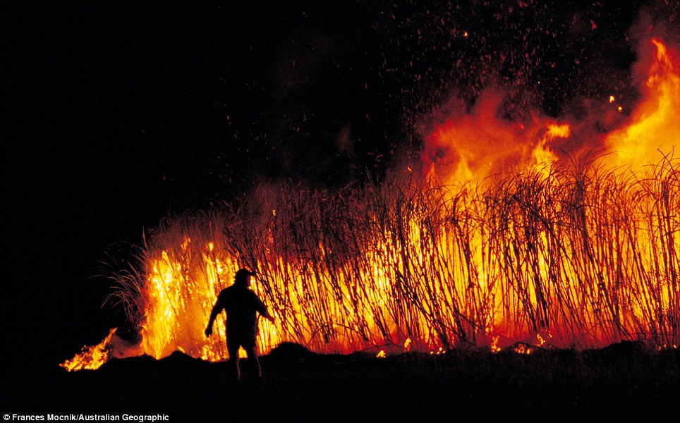 Australian Geographic  (5)