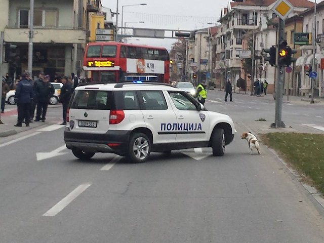 borko-i-policijata1