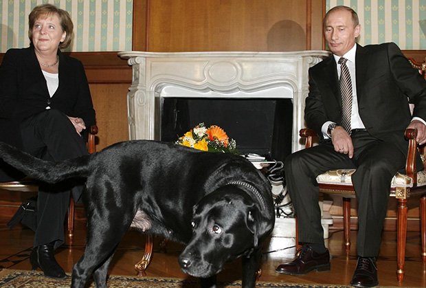 angela-merkel-vladimir-putin-foto-fonet-1420193092-469869