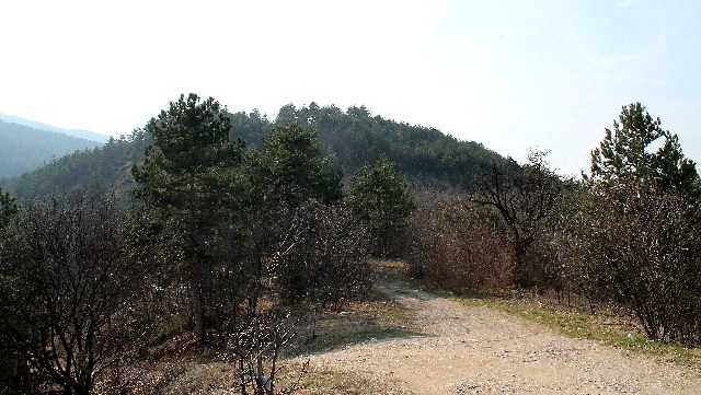 parcela
