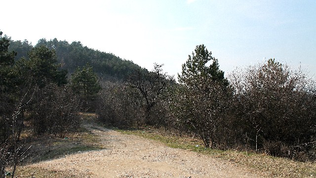 parcelaa2