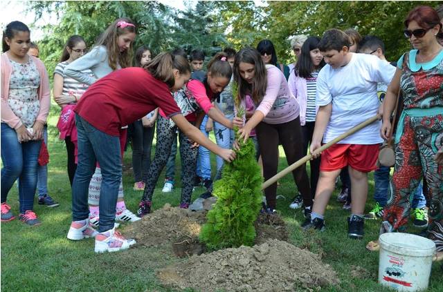 zaevstrumica1 (1)