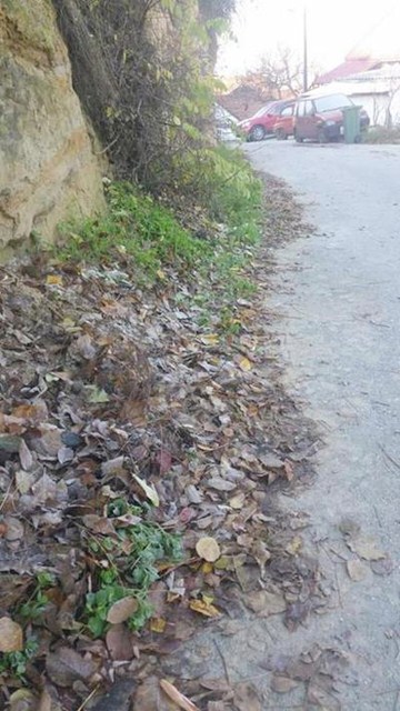 Vodno - 30.11 (3)