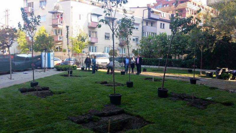 Садење дрва - Кино Карпош (4)