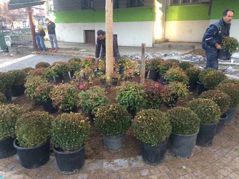 Nov plostad - Centar (2)