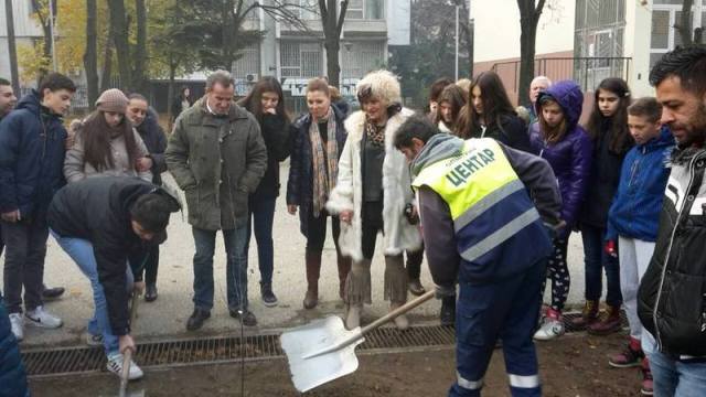 Novi sadnici - Centar (7)