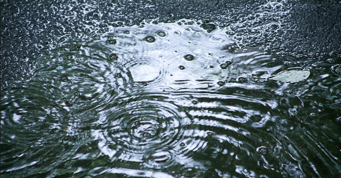 Најмногу дожд во Прилеп