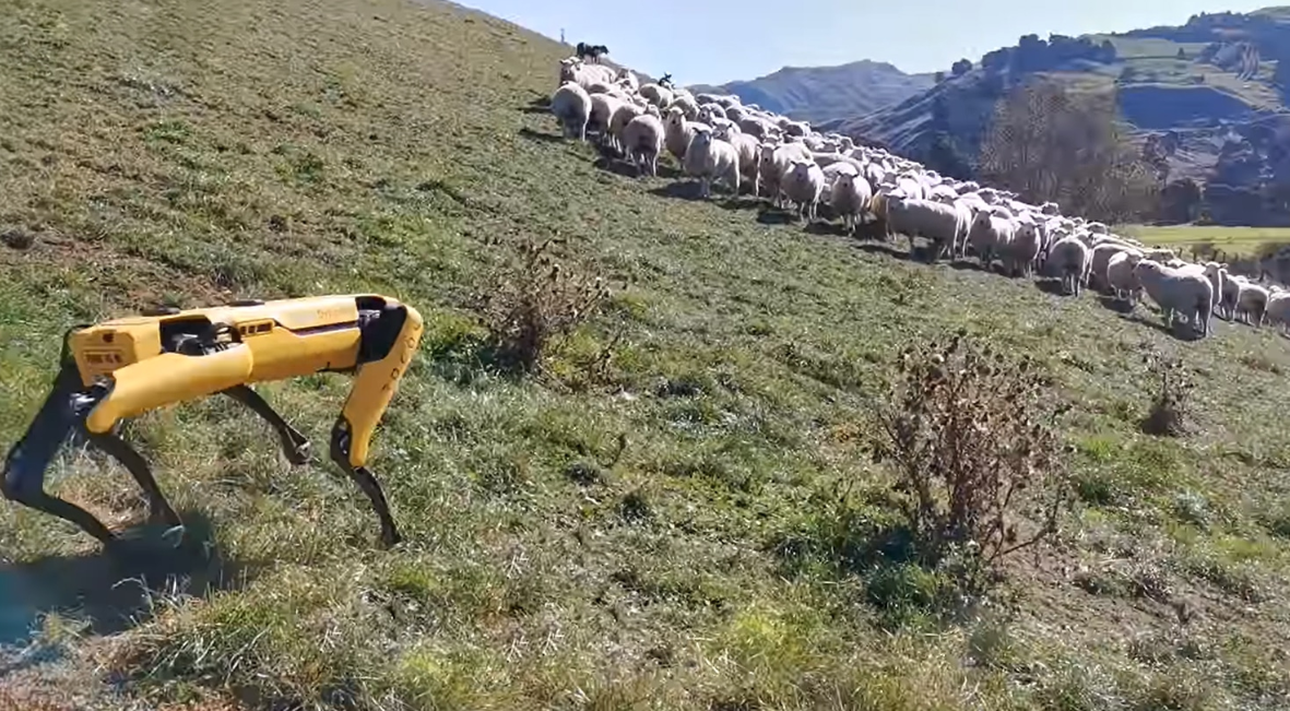 Кучето робот на Бостон динамикс чини 74.500 долари