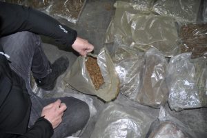 Во Франција во камион со пченица пронашле повеќе од 2 тони канабис