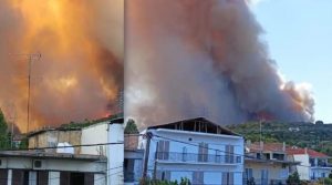 Нов шумски пожар во Грција, евакуирани четири села