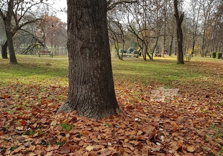Сончево денеска и утре, во петок дожд