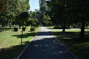 Украдени бистите на Вапцаров и на Неделковски од Градски парк во Скопје