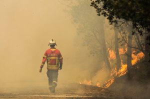 Најмалку 10 лица исчезнаа во шумски пожари во Чиле, воведена е вонредна состојба