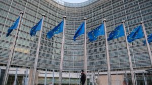 ЕУ за предлог измените во Кривичниот законик: Проверуваме дали е злоупотребено знаменцето