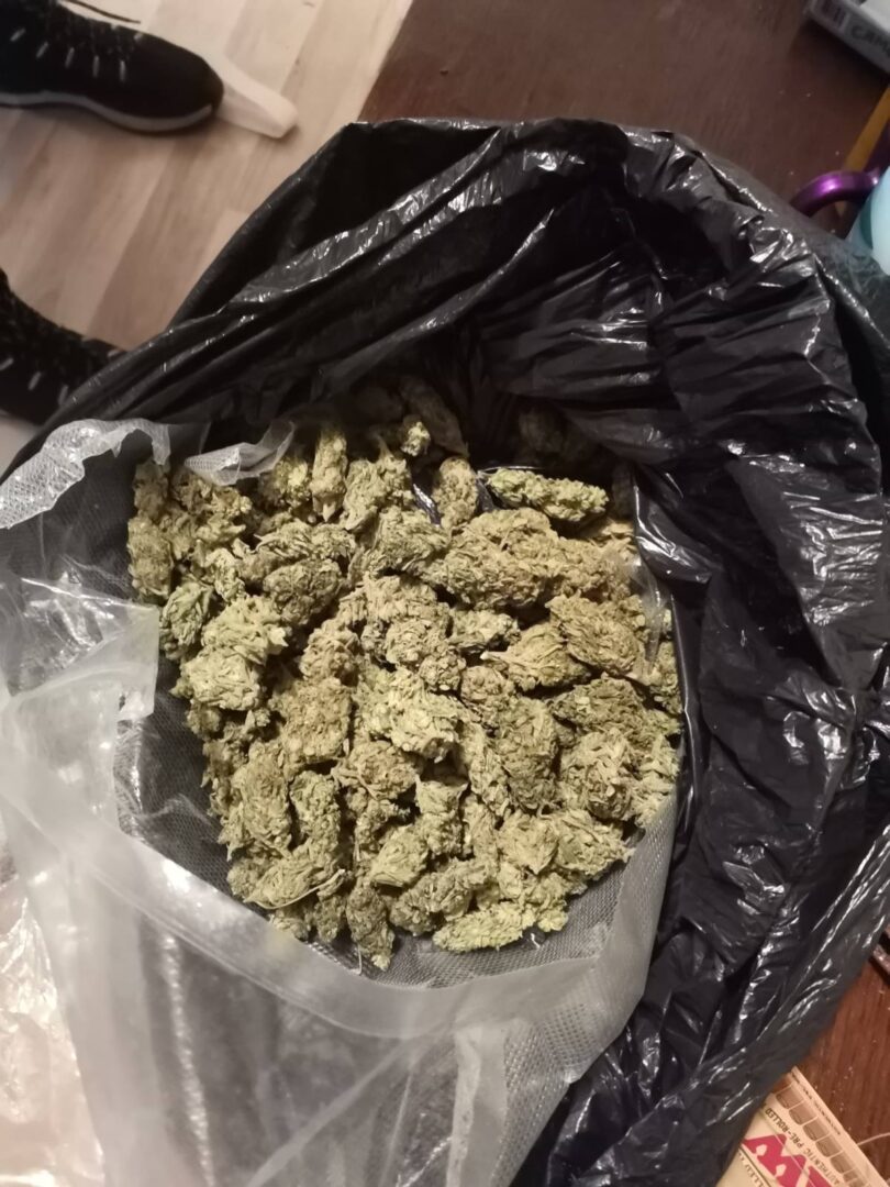 Претрес во Кочани, пронајдена марихуана