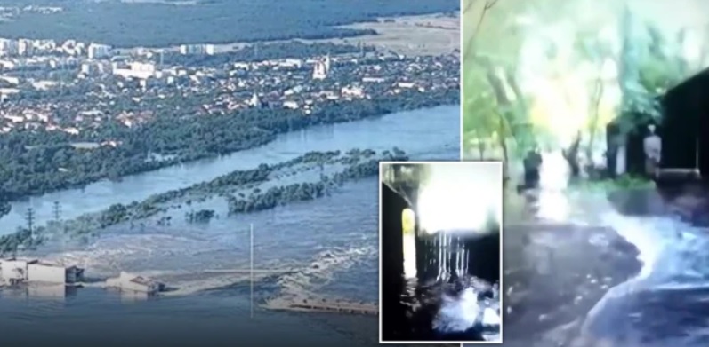 ВИДЕО: 300 животни се удавија во поплавена зоолошка градина по уништувањето на браната во Украина