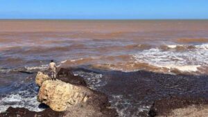 (ВИДЕО) Морето исфрла тела на жртви од Дерна стотици километри подалеку