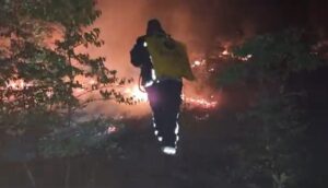 ВИДЕО: Пожарот кај селото Бељаковце е изгаснат