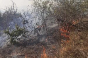 Два пожари во Долнени, ќе се интервенира со два авиона и хеликоптер