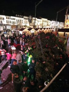 20-метарска елка падна врз луѓе во Белгија, умре жена
