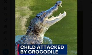 ВИДЕО: Деветгодишно момче се бори за живот по напад од крокодил во Австралија
