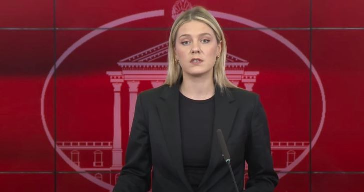 Митева: За прославата на независноста не се потрошени буџетски средства