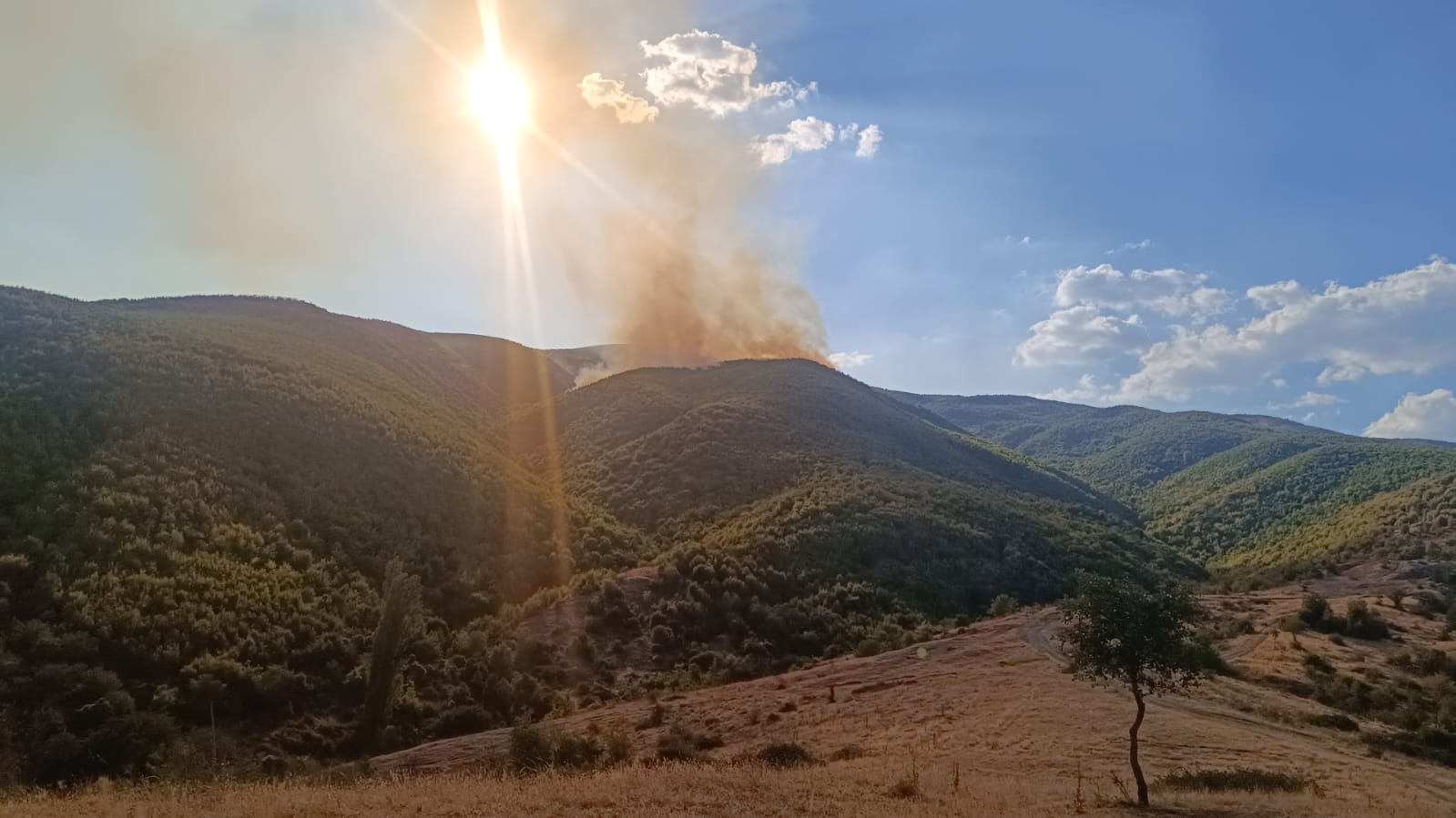 (ВИДЕО) Пламна пожар во атарот на селото Бајково на планината Ограждена, загрозена е и црквата Св. Петар и Павле