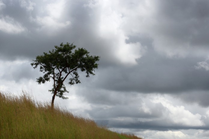 Денеска променливо облачно со повремени локални врнежи од дожд