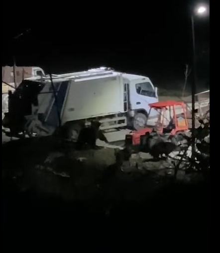 ВИДЕО: Мечка снимена на паркинг во Ростуше