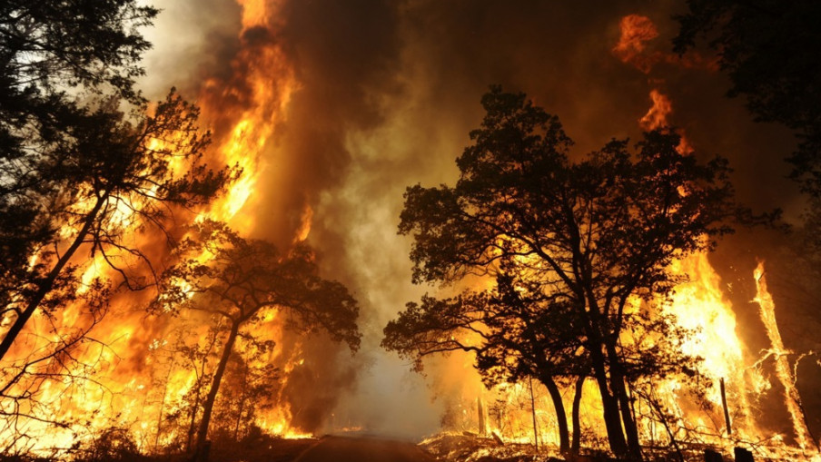 Пожар зафати 5.000 хектари шума, изгореа 50 куќи