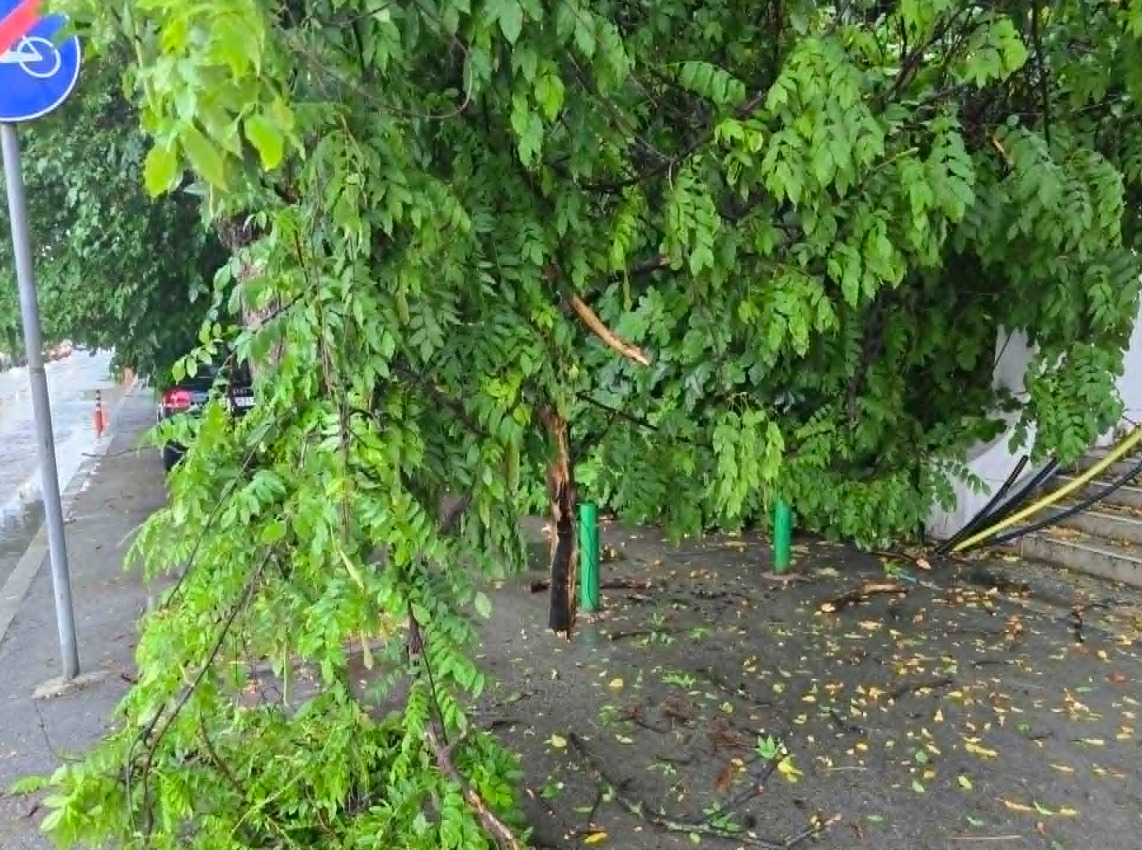 Невремето во Скопје направи пустош, поплави и заглавени возила