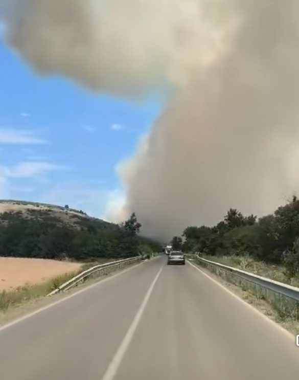 ВИДЕО: Локализиран пожарот кај штипскиот Исар, гори во Пробиштипско и во Чешиново