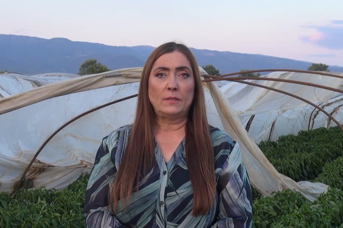(ВИДЕО) Илијоска: Невремето ги  опустоши струмичките посеви, а Владата не презема ништо – итно да ги обештети земјоделците