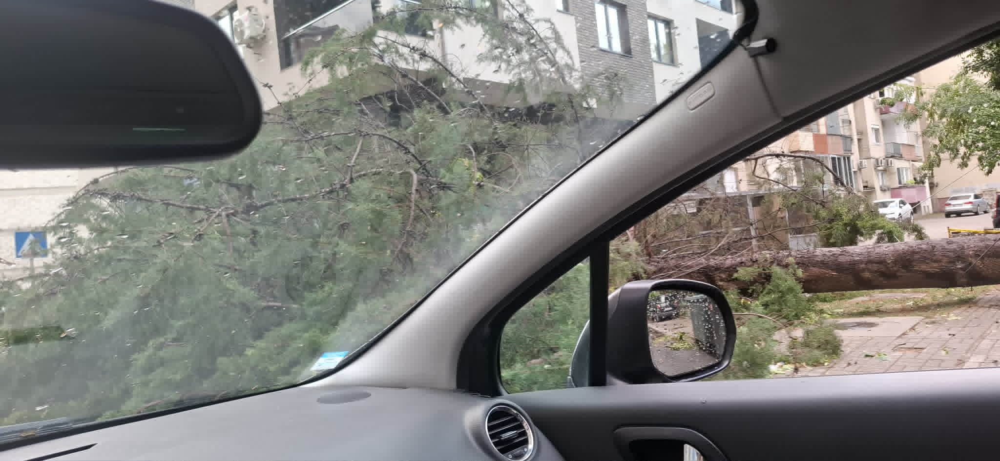 (ФОТО) Невреме со силен ветер попладнево го зафати Скопје и предизвика проблеми низ градот
