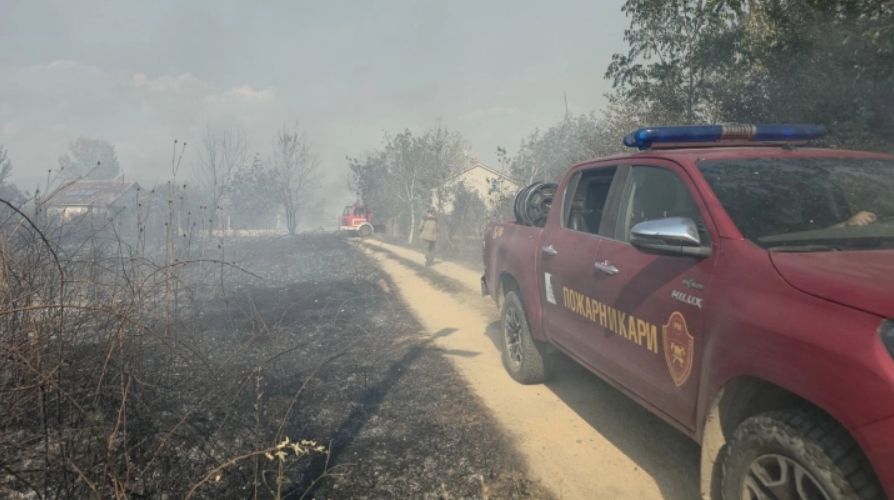 Од палење гуми во двор, пожар се прошири во шумата кај делчевско Бигла