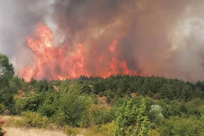 Активни се пожари во осум општини во Македонија
