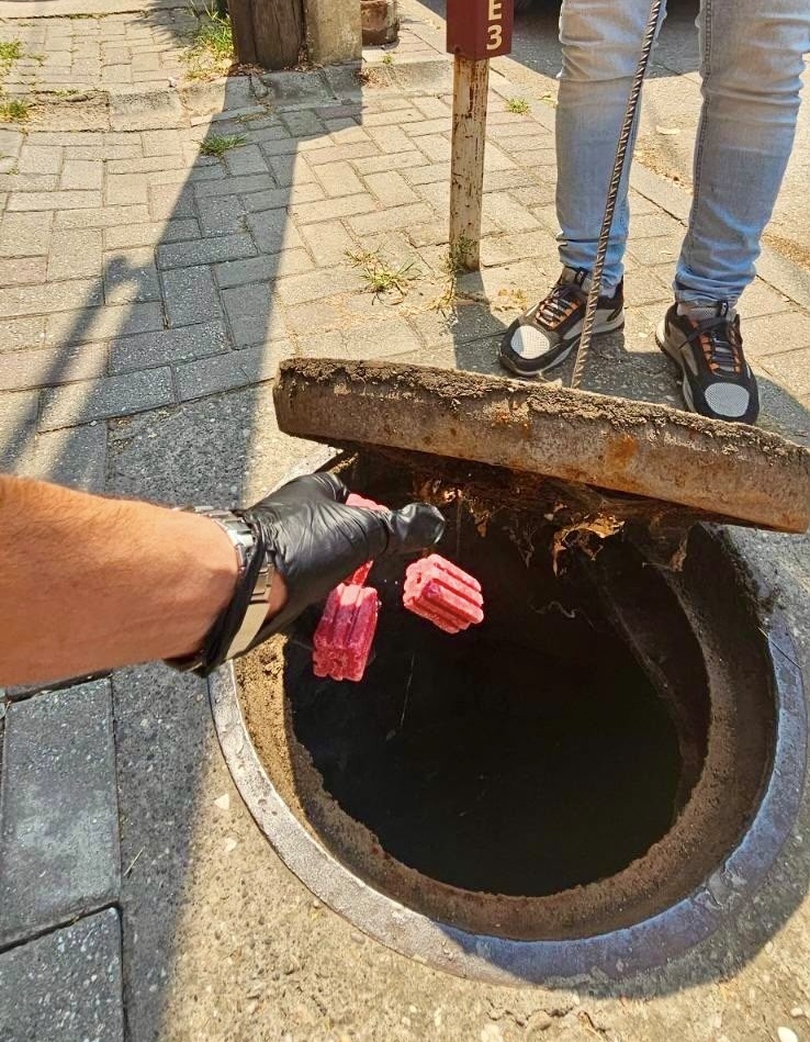 Општина Центар најави нова дератизација, откако граѓаните се пожалија на наезда на глувци